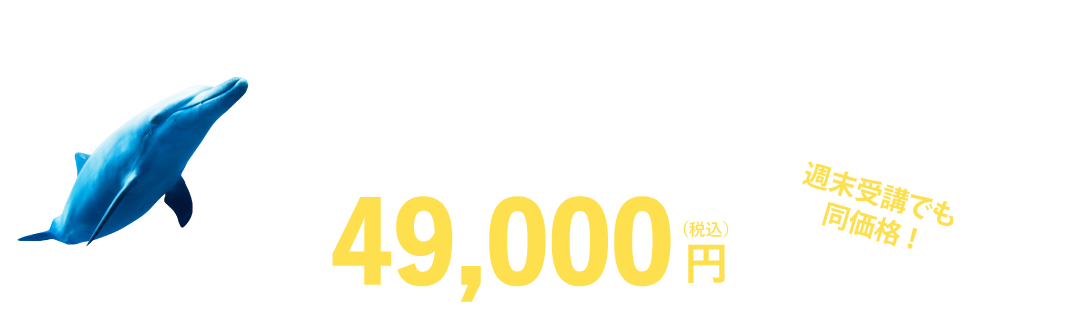 49000